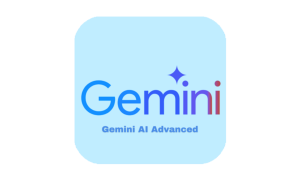 Gemini Advanced Personal