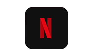 Netflix Subscription